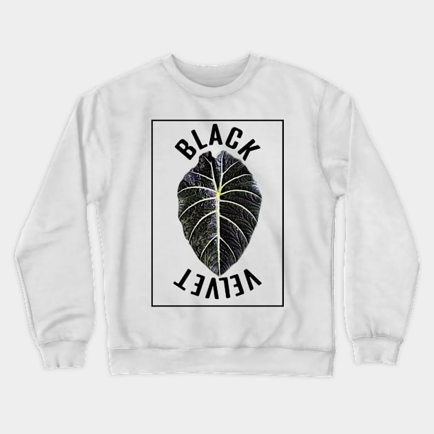 Alocasia Black Velvet Crewneck Sweatshirt by Blooming Beetle